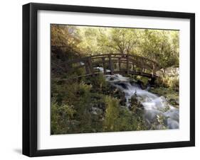 Wooden Bridge Over a Flowing Stream-null-Framed Photographic Print