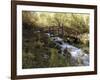 Wooden Bridge Over a Flowing Stream-null-Framed Photographic Print