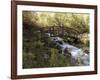 Wooden Bridge Over a Flowing Stream-null-Framed Photographic Print