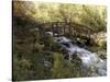 Wooden Bridge Over a Flowing Stream-null-Stretched Canvas