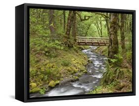 Wooden Bridge over Gorton Creek, Columbia River Gorge, Oregon, USA-Jaynes Gallery-Framed Stretched Canvas