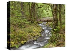 Wooden Bridge over Gorton Creek, Columbia River Gorge, Oregon, USA-Jaynes Gallery-Stretched Canvas