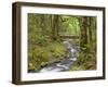 Wooden Bridge over Gorton Creek, Columbia River Gorge, Oregon, USA-Jaynes Gallery-Framed Premium Photographic Print