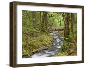 Wooden Bridge over Gorton Creek, Columbia River Gorge, Oregon, USA-Jaynes Gallery-Framed Photographic Print