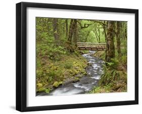 Wooden Bridge over Gorton Creek, Columbia River Gorge, Oregon, USA-Jaynes Gallery-Framed Photographic Print