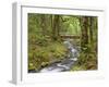 Wooden Bridge over Gorton Creek, Columbia River Gorge, Oregon, USA-Jaynes Gallery-Framed Photographic Print