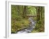 Wooden Bridge over Gorton Creek, Columbia River Gorge, Oregon, USA-Jaynes Gallery-Framed Photographic Print