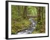 Wooden Bridge over Gorton Creek, Columbia River Gorge, Oregon, USA-Jaynes Gallery-Framed Photographic Print