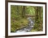 Wooden Bridge over Gorton Creek, Columbia River Gorge, Oregon, USA-Jaynes Gallery-Framed Photographic Print