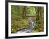 Wooden Bridge over Gorton Creek, Columbia River Gorge, Oregon, USA-Jaynes Gallery-Framed Photographic Print