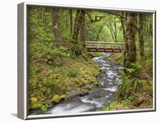 Wooden Bridge over Gorton Creek, Columbia River Gorge, Oregon, USA-Jaynes Gallery-Framed Photographic Print