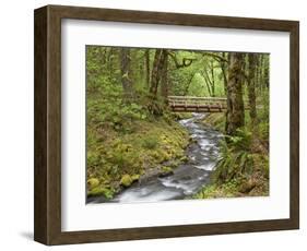 Wooden Bridge over Gorton Creek, Columbia River Gorge, Oregon, USA-Jaynes Gallery-Framed Photographic Print