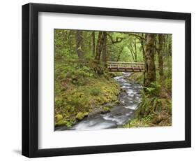 Wooden Bridge over Gorton Creek, Columbia River Gorge, Oregon, USA-Jaynes Gallery-Framed Photographic Print