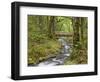 Wooden Bridge over Gorton Creek, Columbia River Gorge, Oregon, USA-Jaynes Gallery-Framed Photographic Print