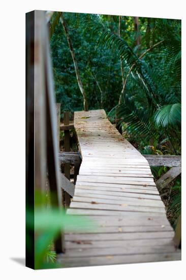Wooden Bridge over River in Jungle Photo Poster Print-null-Stretched Canvas