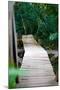 Wooden Bridge over River in Jungle Photo Poster Print-null-Mounted Poster