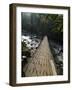 Wooden Bridge over River, Ranong, Thailand, Southeast Asia-Porteous Rod-Framed Photographic Print