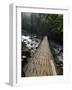 Wooden Bridge over River, Ranong, Thailand, Southeast Asia-Porteous Rod-Framed Photographic Print