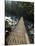 Wooden Bridge over River, Ranong, Thailand, Southeast Asia-Porteous Rod-Mounted Photographic Print