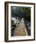 Wooden Bridge over River, Ranong, Thailand, Southeast Asia-Porteous Rod-Framed Premium Photographic Print