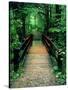 Wooden Bridge, Sundell, Michigan ‘90-Monte Nagler-Stretched Canvas