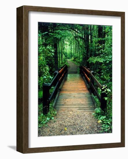 Wooden Bridge, Sundell, Michigan ‘90-Monte Nagler-Framed Photographic Print