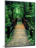 Wooden Bridge, Sundell, Michigan ‘90-Monte Nagler-Mounted Photographic Print