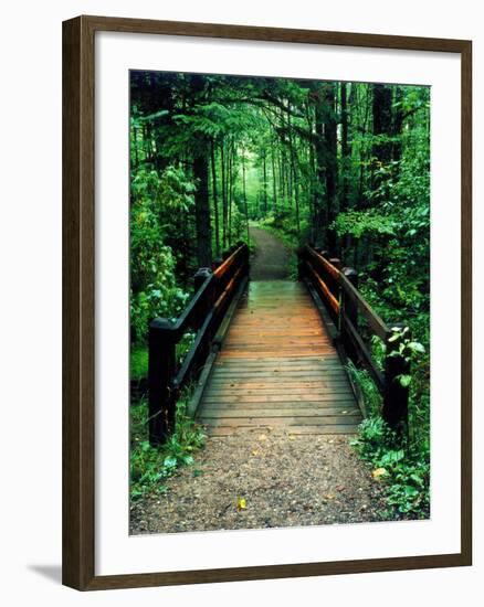 Wooden Bridge, Sundell, Michigan ‘90-Monte Nagler-Framed Photographic Print