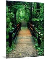 Wooden Bridge, Sundell, Michigan ‘90-Monte Nagler-Mounted Photographic Print