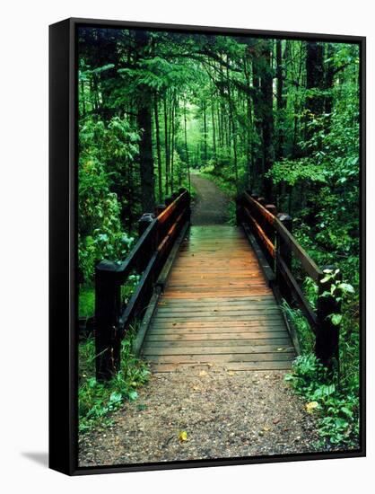 Wooden Bridge, Sundell, Michigan ‘90-Monte Nagler-Framed Stretched Canvas