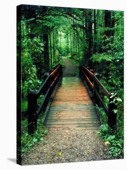 Wooden Bridge, Sundell, Michigan ‘90-Monte Nagler-Stretched Canvas