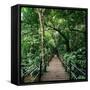 Wooden Bridge Thailand-null-Framed Stretched Canvas