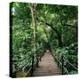 Wooden Bridge Thailand-null-Stretched Canvas