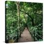 Wooden Bridge Thailand-null-Stretched Canvas