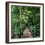 Wooden Bridge Thailand-null-Framed Photographic Print