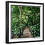 Wooden Bridge Thailand-null-Framed Photographic Print