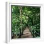 Wooden Bridge Thailand-null-Framed Photographic Print