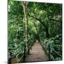 Wooden Bridge Thailand-null-Mounted Photographic Print