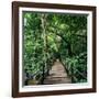 Wooden Bridge Thailand-null-Framed Photographic Print
