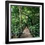 Wooden Bridge Thailand-null-Framed Photographic Print