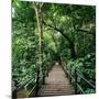 Wooden Bridge Thailand-null-Mounted Photographic Print