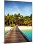 Wooden Bridge to Island Beach Resort, Beautiful Colorful Rainbow over Fresh Green Palm Trees, Luxur-Anna Omelchenko-Mounted Photographic Print