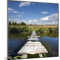 Wooden Bridge-pavel klimenko-Mounted Art Print