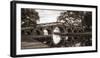 Wooden Bridge-Danny Head-Framed Photographic Print