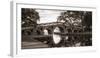 Wooden Bridge-Danny Head-Framed Photographic Print