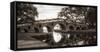 Wooden Bridge-Danny Head-Framed Stretched Canvas