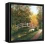 Wooden Bridge-TC Chiu-Framed Stretched Canvas