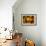 Wooden Bucket Filled with Freshly Picked Gravenstein Apples from a Local Oregon Farm-Cynthia Classen-Framed Photographic Print displayed on a wall