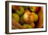 Wooden Bucket Filled with Freshly Picked Gravenstein Apples from a Local Oregon Farm-Cynthia Classen-Framed Photographic Print