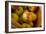 Wooden Bucket Filled with Freshly Picked Gravenstein Apples from a Local Oregon Farm-Cynthia Classen-Framed Photographic Print